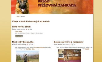 Vytvoření internetových stránek pro majitelku chovného psa